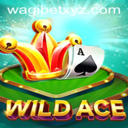 WildAce: A Thrilling Adventure with Wagibet